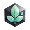 The Charcoal Mint Co.